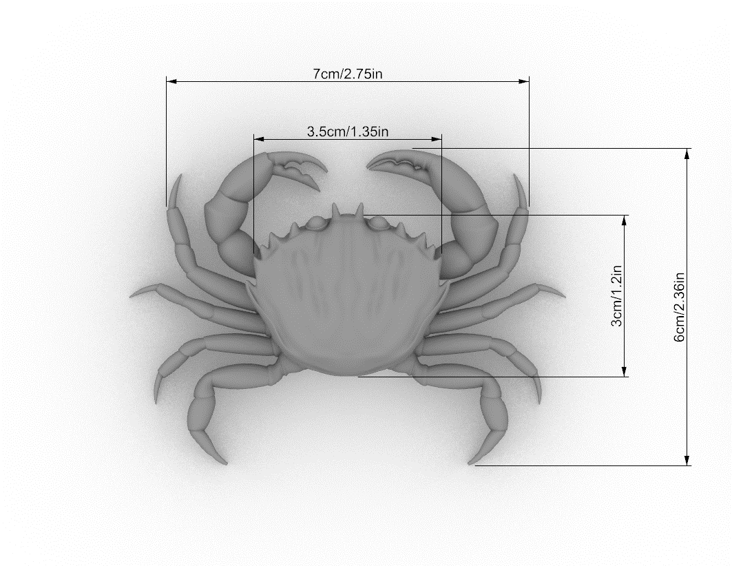 Green Crab