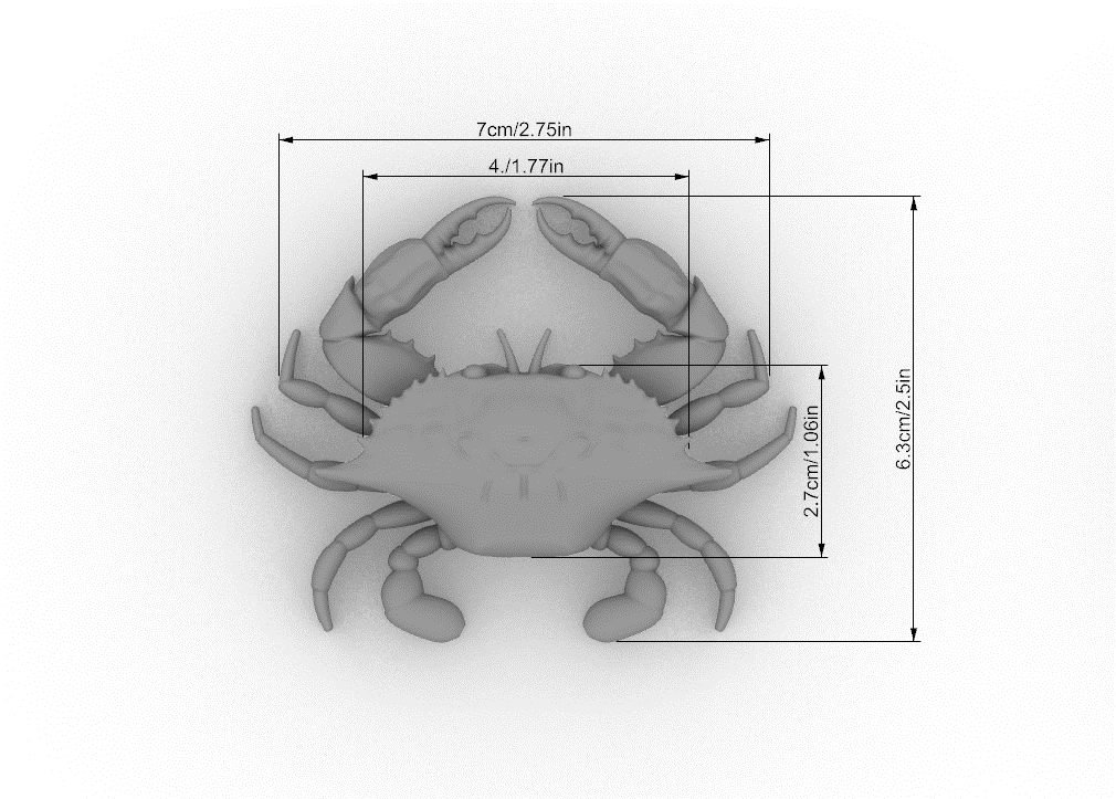 Blue Crab