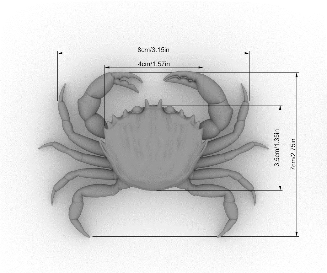 Green Crab