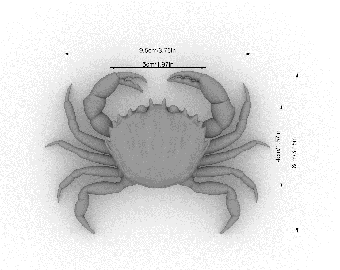 Green Crab