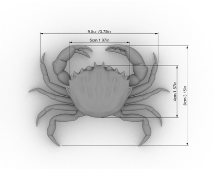 Green Crab