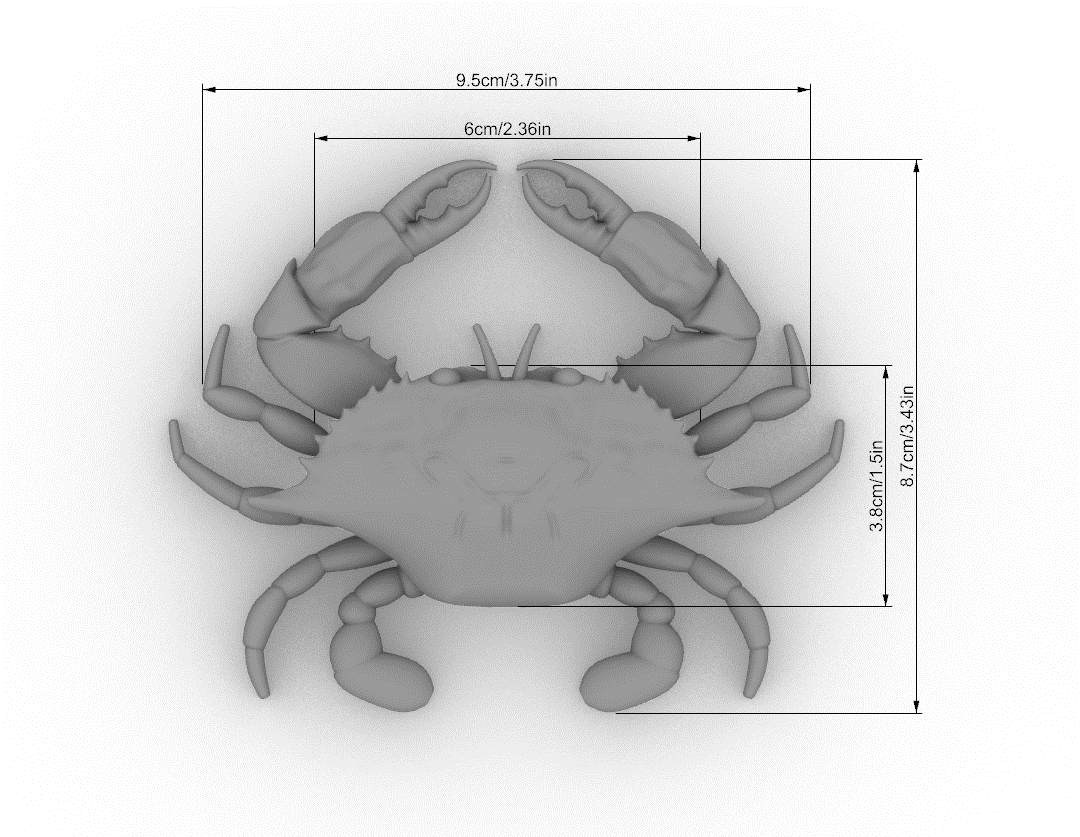 Blue Crab