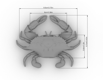 Blue Crab