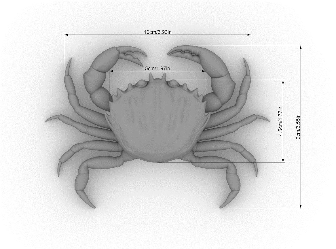 Green Crab