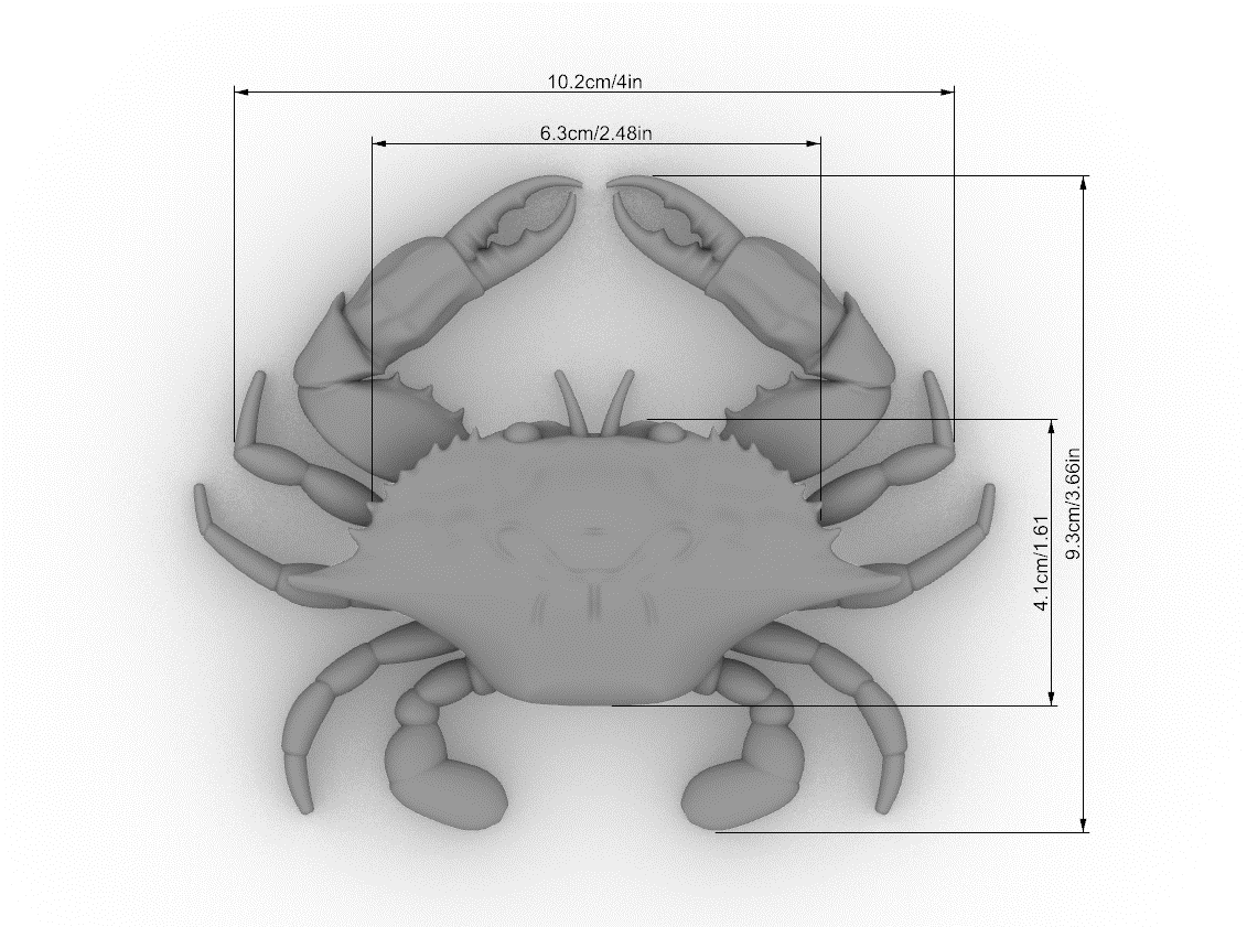 Blue Crab