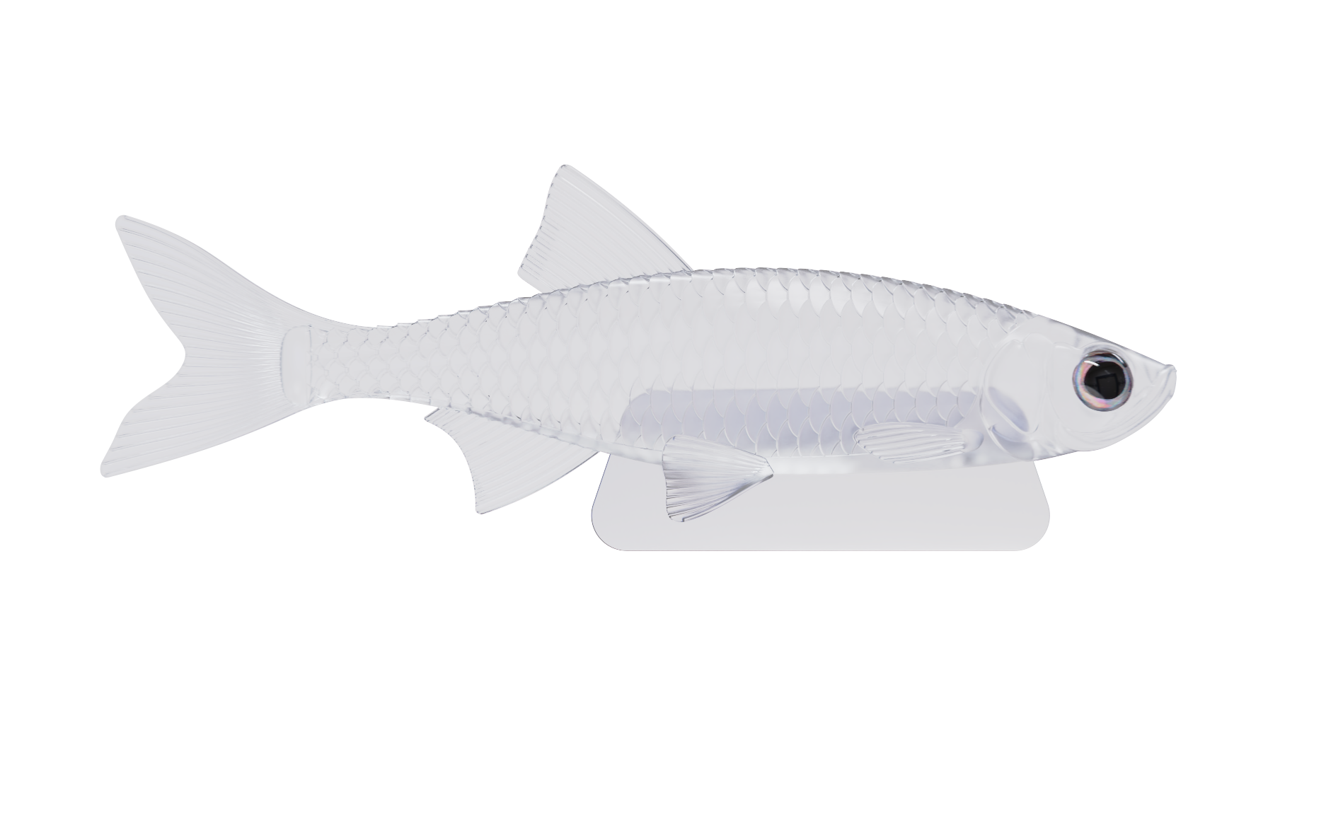 Shimmerbait - Hook slot(3″- 6″) With Space to Glue the Eyes