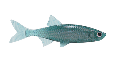 Shimmerbait - Hook slot(3″- 6″) With Space to Glue the Eyes