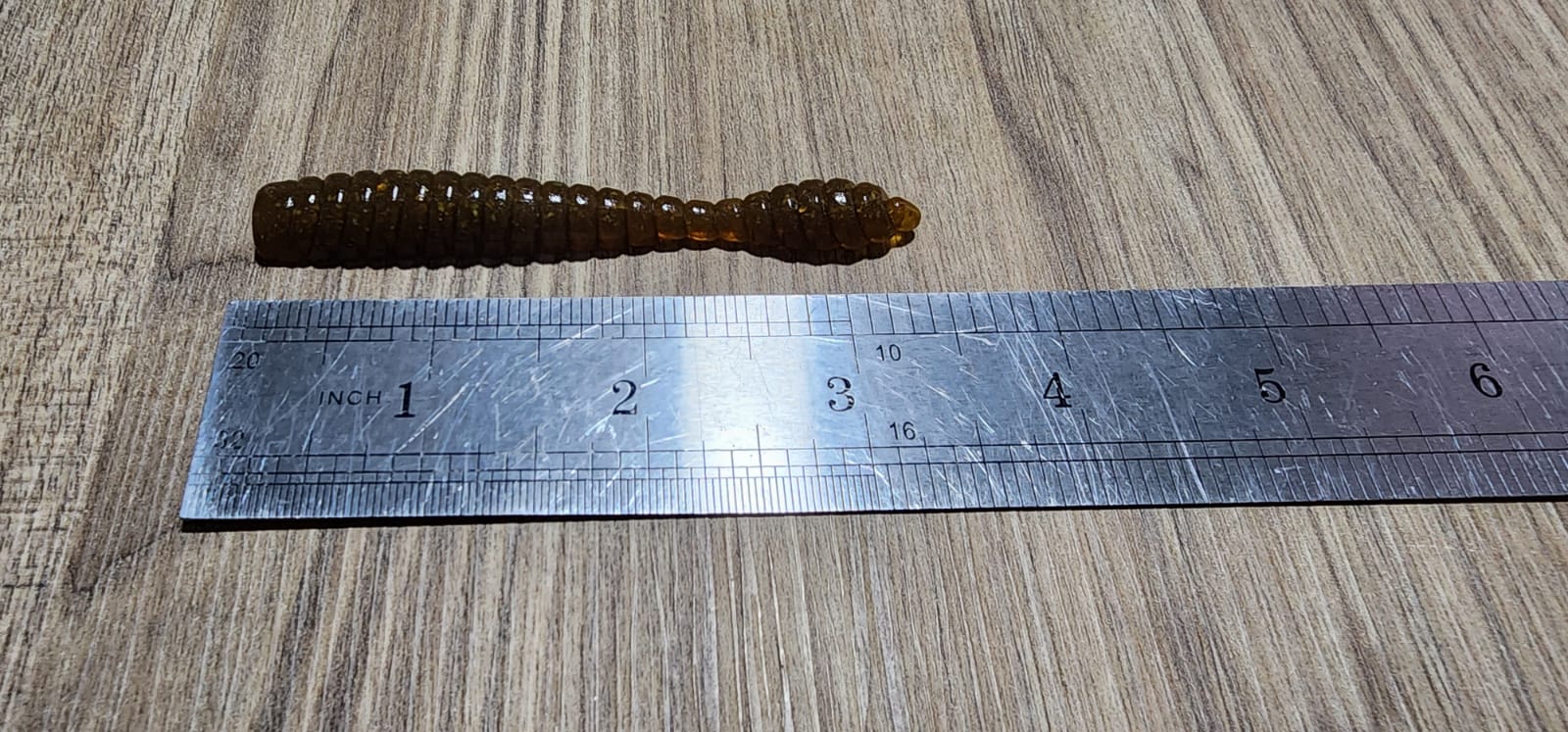 WU Worm - V2 - Open Pour mold (3″- 6″)