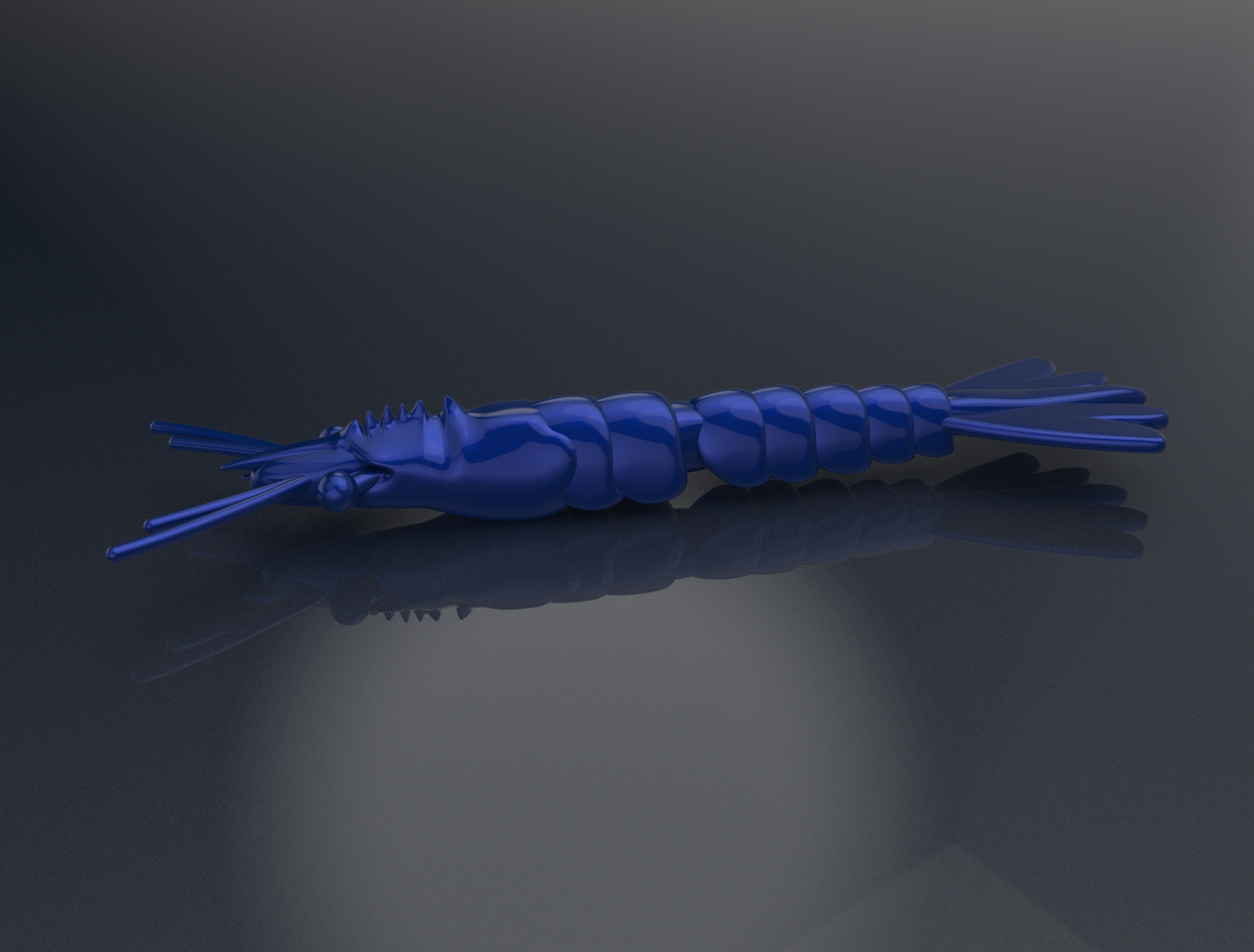 Flat Prawn (3" - 6")