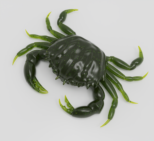 Green Crab