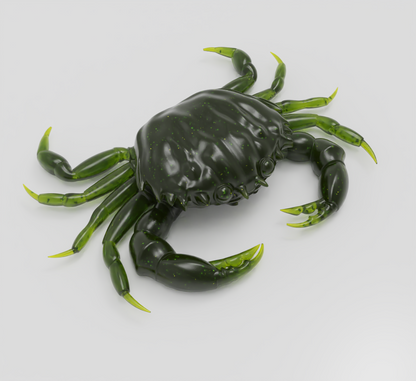 Green Crab