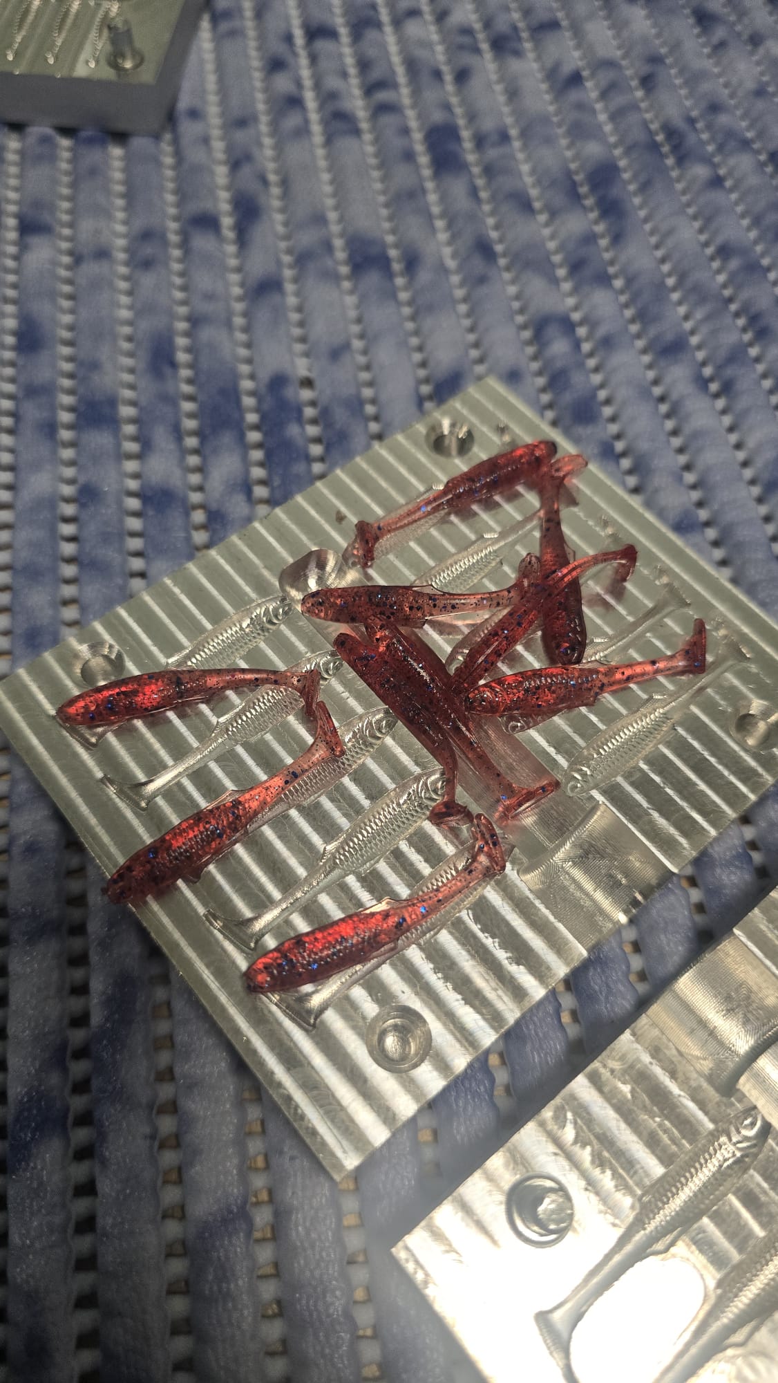 Killer - 1.5inch - 8cav- Condition - New (no defects) - 1 in stock