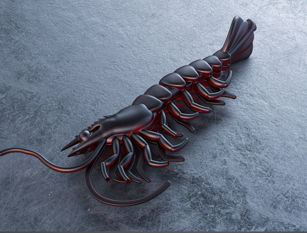 Prawns – WUMolds