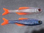 Roach Live V1 (3″- 6″) With Space to Glue the Eyes